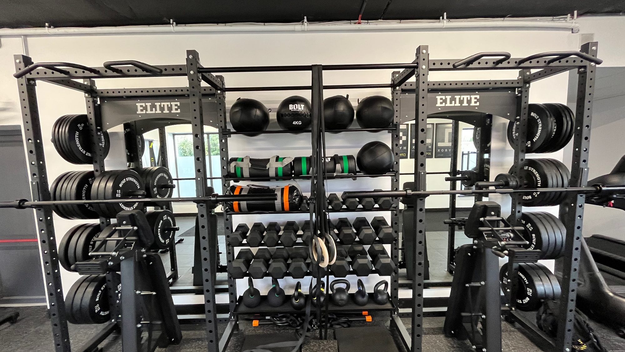 Elite branded storage rack carrying medicine balls, bumper plates and dumbbells