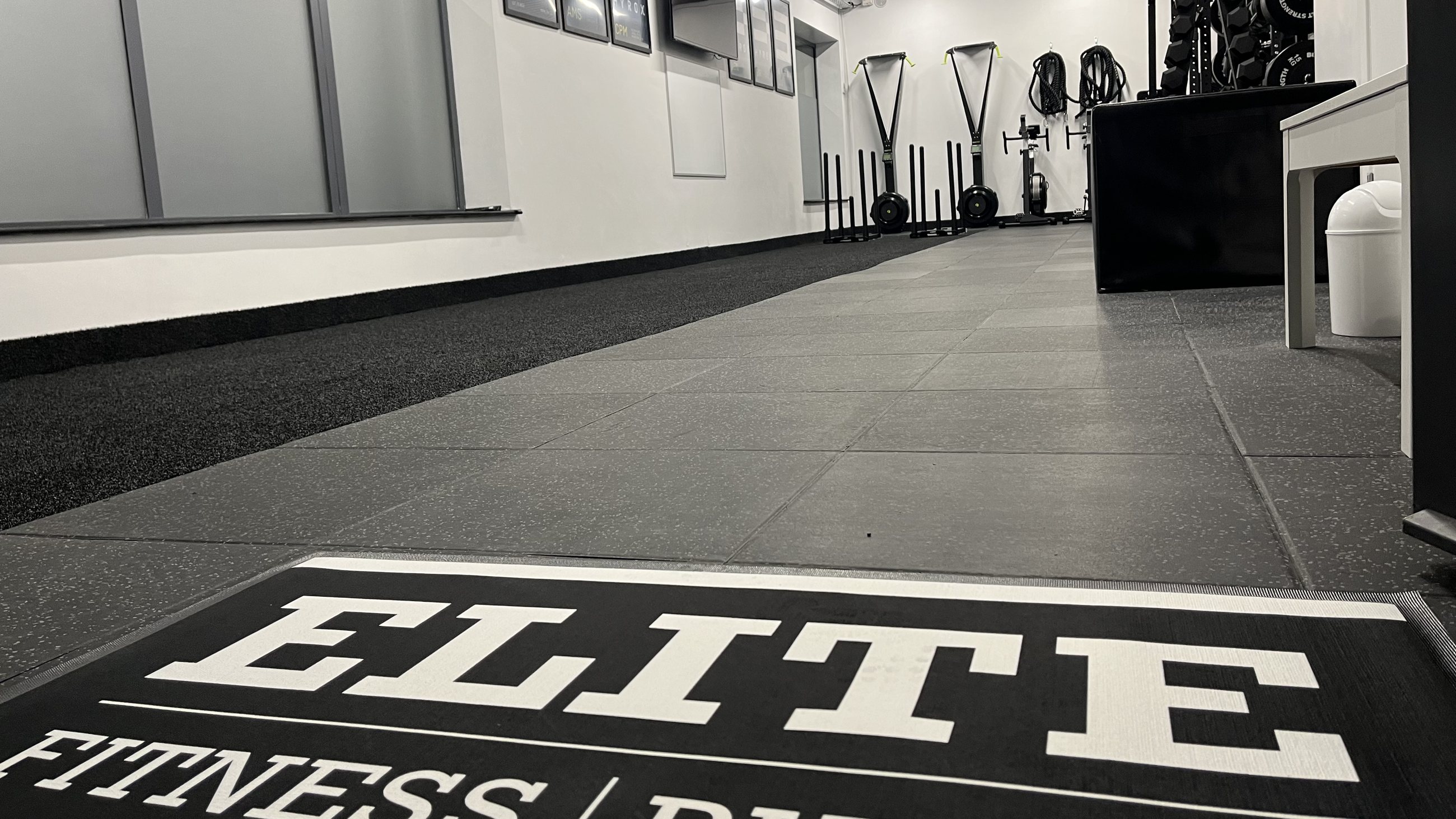 The Elite Fitness Physio wordmark painted large across the studio floor, the training floor and racks running away behind it